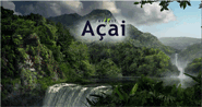 Braizil Acai
