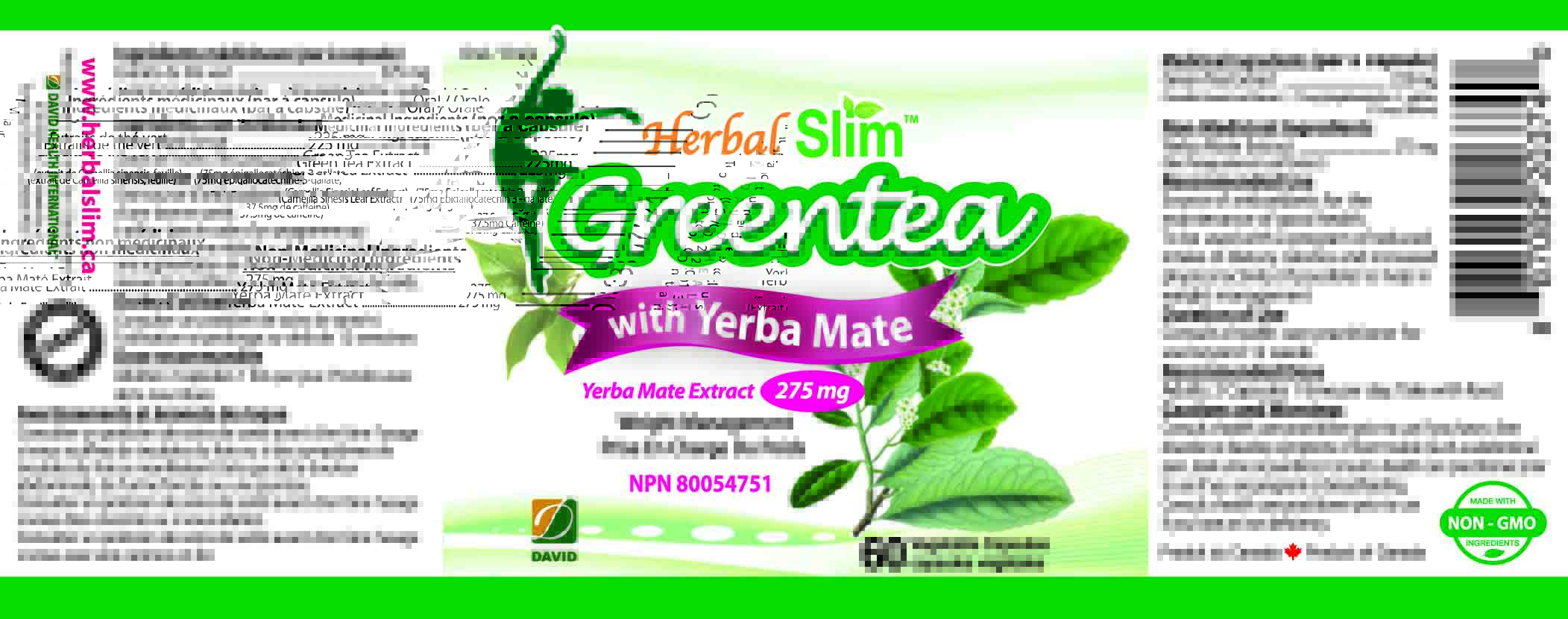 HerbalSlim GREEN TEA WITH YERBA MATE